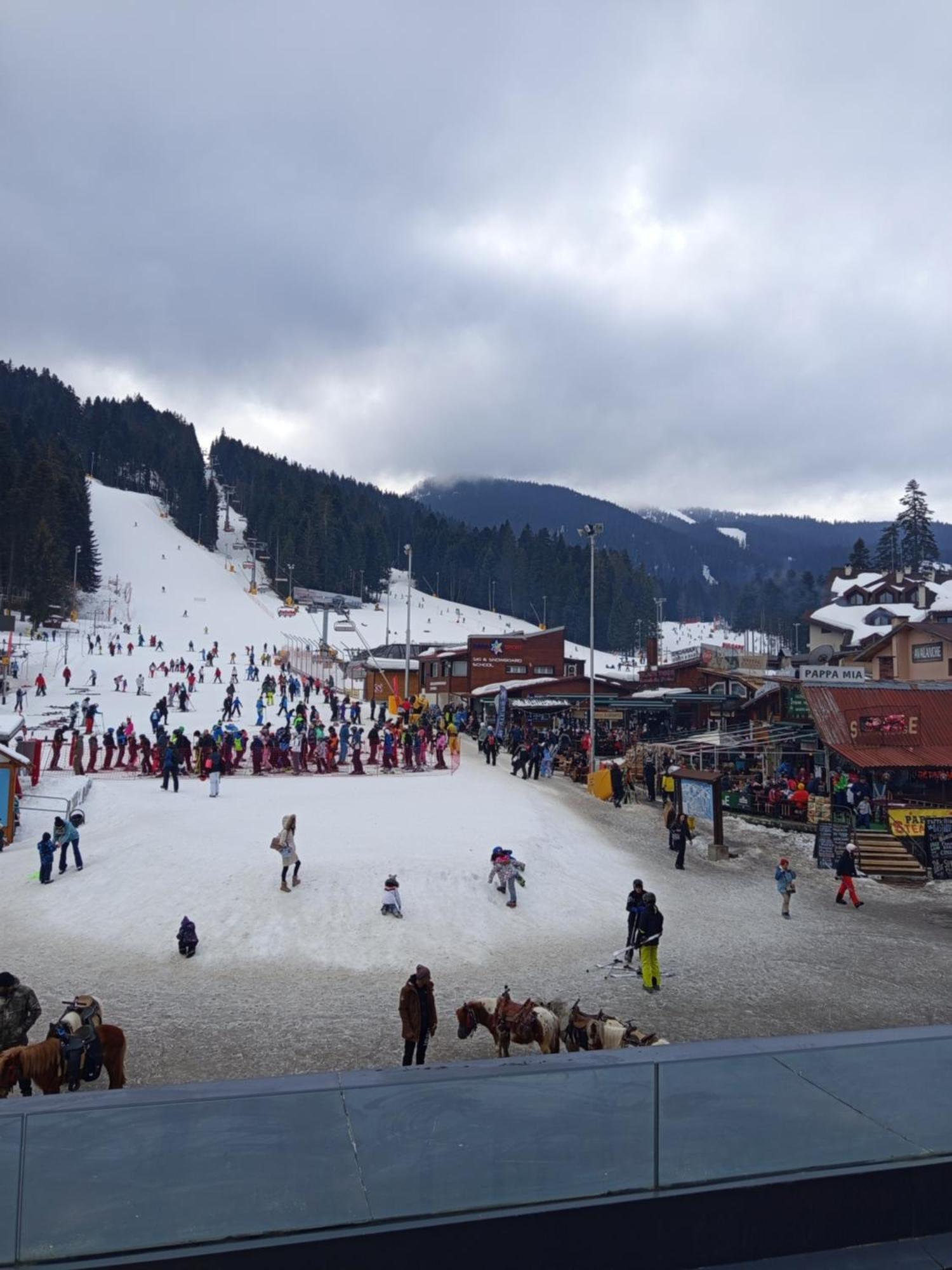 Iglika 2 Snowy Night V 31 Borovets Exterior foto